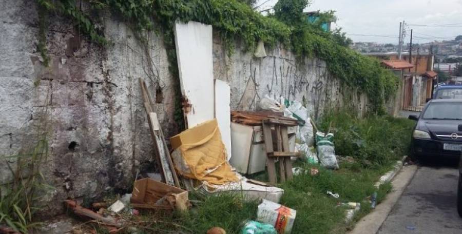 Pragas urbanas tiram a tranquilidade de moradores da zona leste de SP